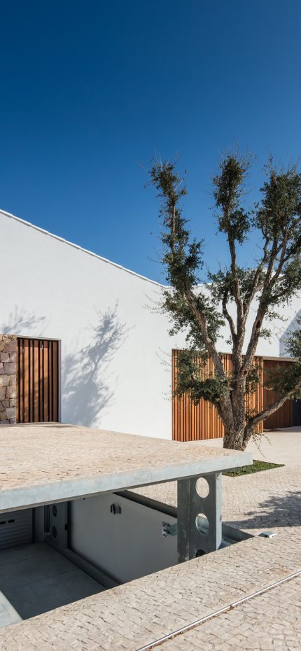 Modern architecture with tree and sky, and an underground hidden car lift popping up